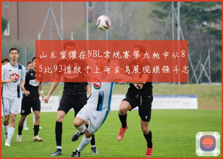 山东蜜獾在NBL常规赛第九轮中以85比93惜败于上海玄鸟展现顽强斗志