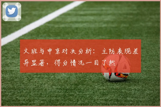 文班与申京对决分析：主防表现差异显著，得分情况一目了然
