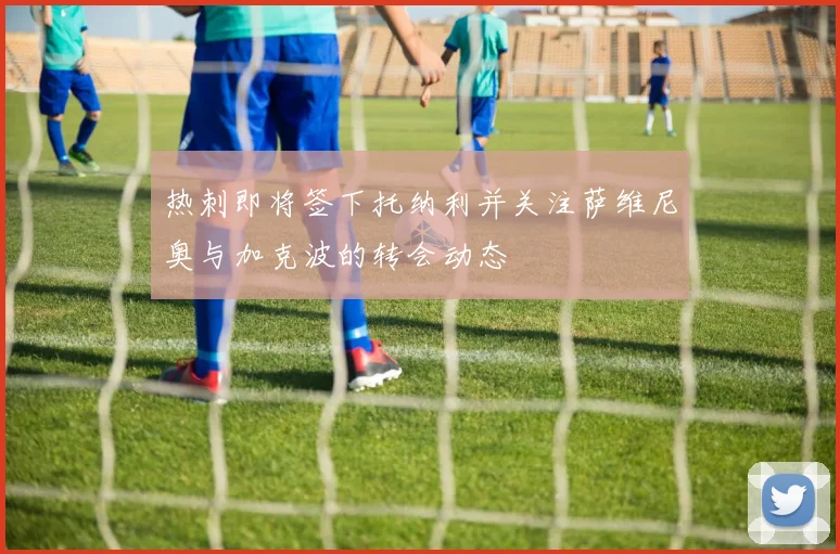 热刺即将签下托纳利并关注萨维尼奥与加克波的转会动态